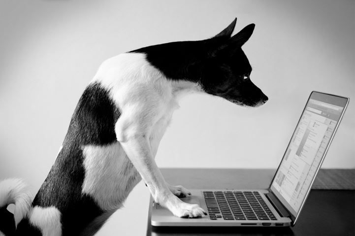cómo usar clickbait con éxito